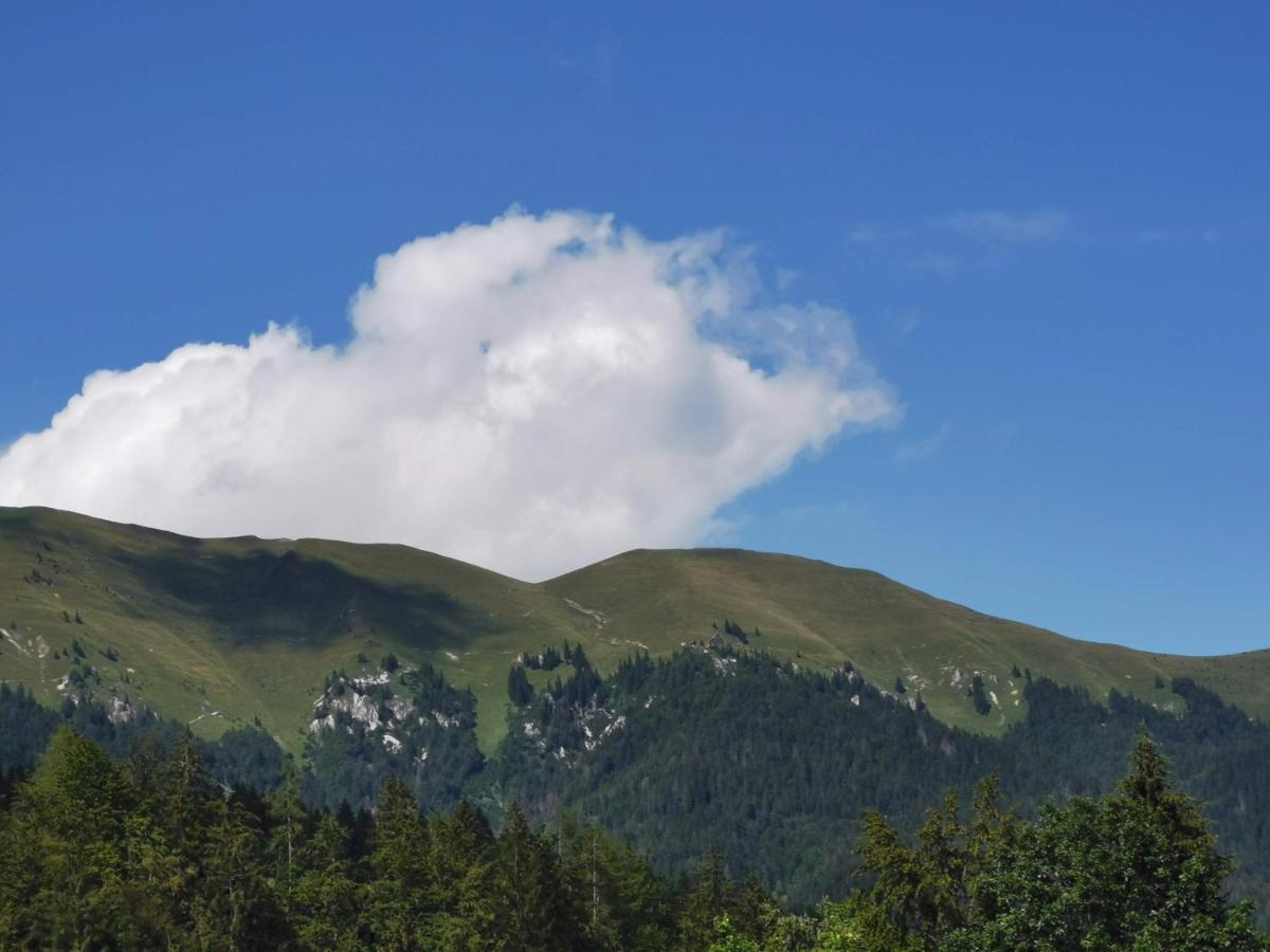 Apartma Rekar - A House, Where You Can Relax In The Embrace Of Nature Jesenice Exterior photo